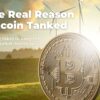 The Real Reason Bitcoin Tanked